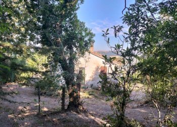 Terreno - Rustico via Tufi, Maiolati Spontini - foto 24