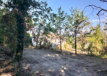 Terreno - Rustico via Tufi, Maiolati Spontini - foto 25
