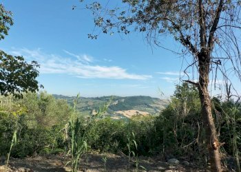 Vista - Rustico via Tufi, Maiolati Spontini - foto 27