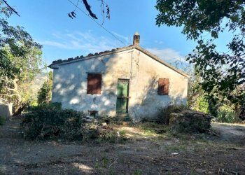 Terreno - Rustico via Tufi, Maiolati Spontini - foto 29