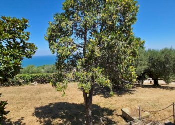 Foto 35 - Villa CONTRADA GIARDINO
 
3, Roseto degli Abruzzi - foto 35