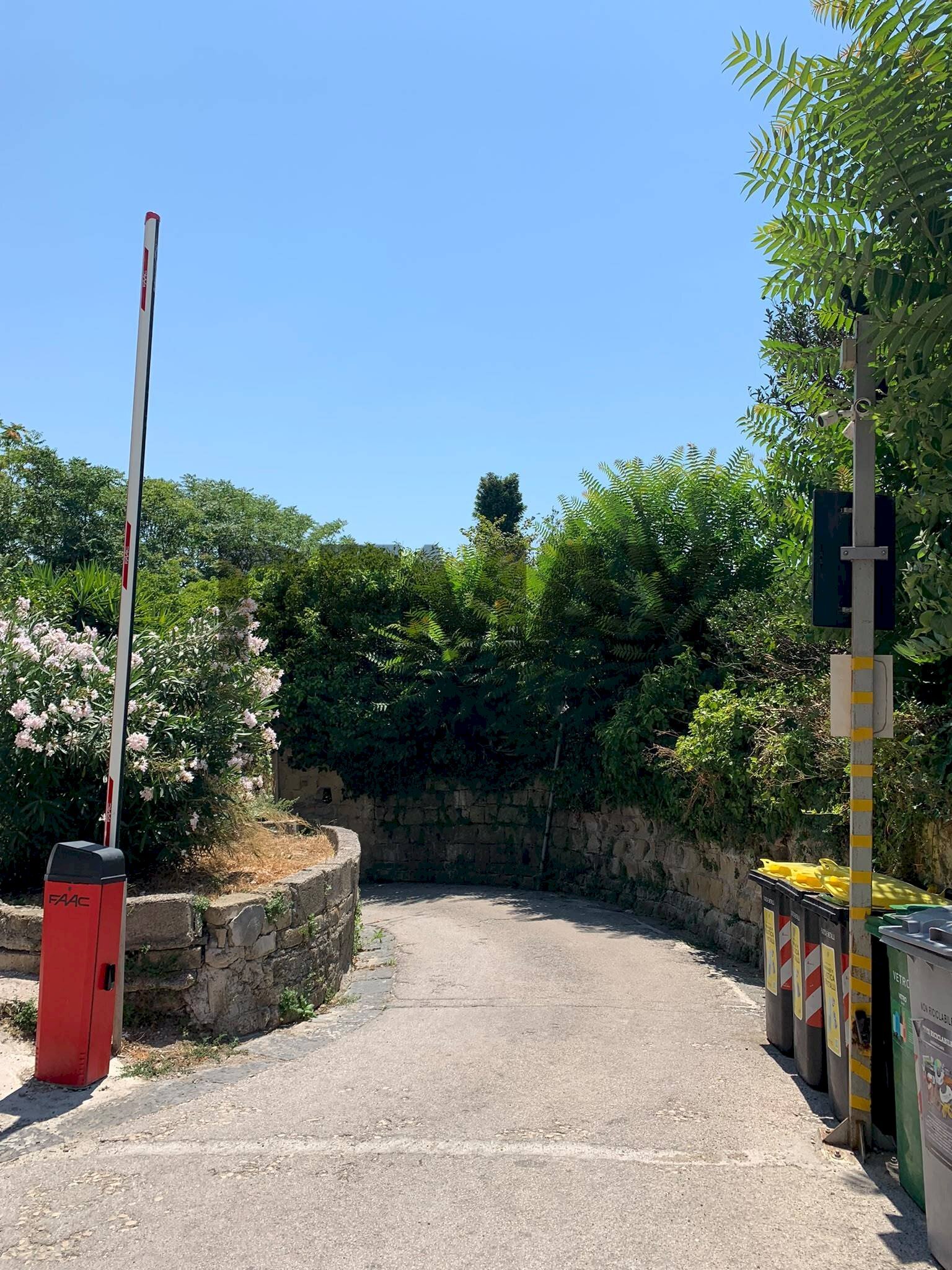 Giardino - Trilocale Via Vita alla Sanità
97, Napoli - foto 2
