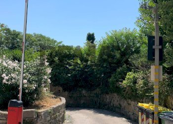 Giardino - Trilocale Via Vita alla Sanità
97, Napoli - foto 2