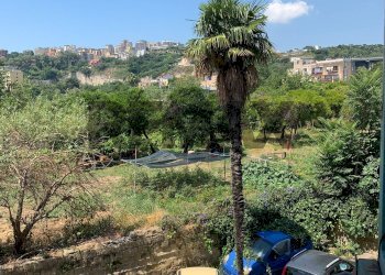 Giardino - Trilocale Via Vita alla Sanità
97, Napoli - foto 30