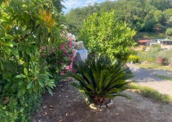 Giardino - Independent house via tagliola
 
22, Minturno - photo 10