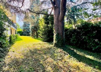 Giardino - Appartamento via Rivoli, 116, Villarbasse - foto 32