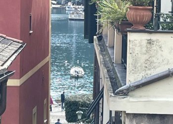 VISTA - Attic PIAZZA MARTIRI DELL'OLIVETTA, Portofino - photo 7
