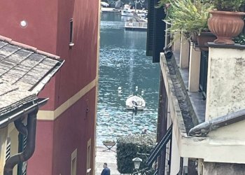 VISTA - Attic PIAZZA MARTIRI DELL'OLIVETTA, Portofino - photo 16