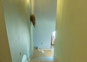 Scala - Villa via Monte Bracco, 6, Vignolo - foto 18