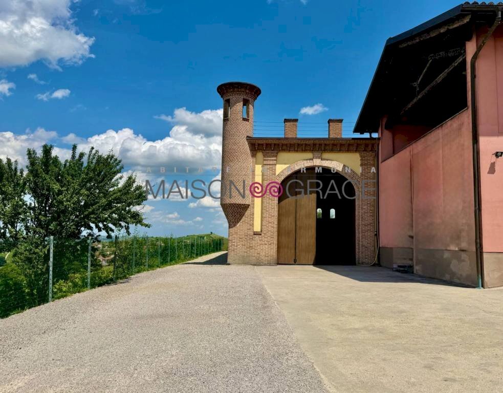 Zona - Magazzino Treiso - foto 1