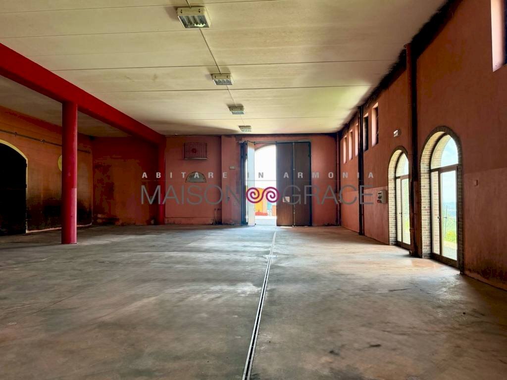 Interno non residenziale - Magazzino Treiso - foto 3