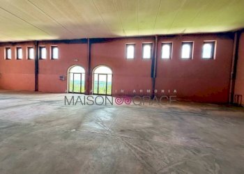 Interno non residenziale - Magazzino Treiso - foto 10