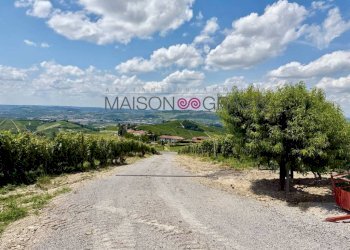 Zona - Magazzino Treiso - foto 14