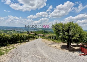 Zona - Magazzino Treiso - foto 15