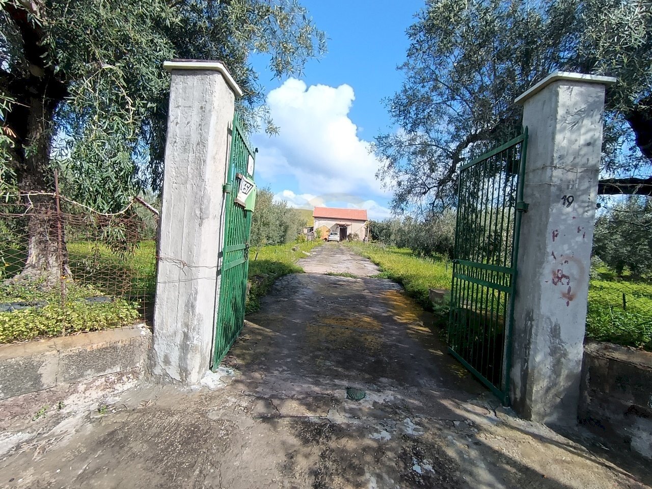 ingresso cancello - Terreno agricolo GRV6+27 Paternò, Città metropolitana di Catania, Paternò - foto 1