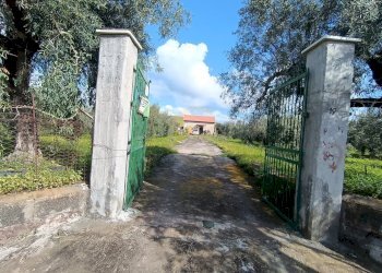 ingresso cancello - Terreno agricolo GRV6+27 Paternò, Città metropolitana di Catania, Paternò - foto 1