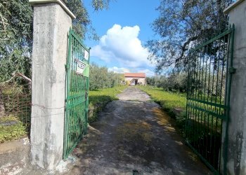 ingresso cancello 1 - Terreno agricolo GRV6+27 Paternò, Città metropolitana di Catania, Paternò - foto 11