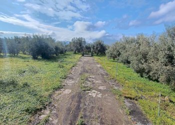 prospetto ingresso 1 - Terreno agricolo GRV6+27 Paternò, Città metropolitana di Catania, Paternò - foto 15