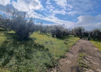 prospetto ingresso 2 - Terreno agricolo GRV6+27 Paternò, Città metropolitana di Catania, Paternò - foto 16