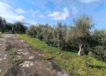 prospetto ingresso 3 - Terreno agricolo GRV6+27 Paternò, Città metropolitana di Catania, Paternò - foto 17
