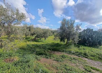 terreno 2 - Terreno agricolo GRV6+27 Paternò, Città metropolitana di Catania, Paternò - foto 20