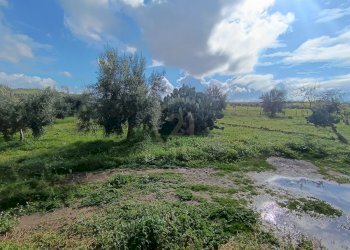 terreno 3 - Terreno agricolo GRV6+27 Paternò, Città metropolitana di Catania, Paternò - foto 21