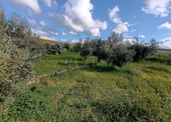 terreno 4 - Terreno agricolo GRV6+27 Paternò, Città metropolitana di Catania, Paternò - foto 22