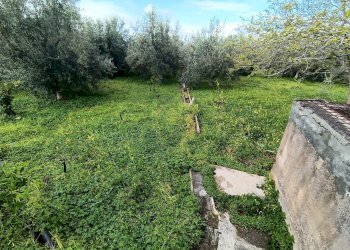terreno - Terreno agricolo GRV6+27 Paternò, Città metropolitana di Catania, Paternò - foto 23