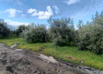 ulivo 2 - Terreno agricolo GRV6+27 Paternò, Città metropolitana di Catania, Paternò - foto 24