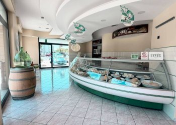 interno - Alimentari - Gastronomia Via Amleto Pesce, Monopoli - foto 3