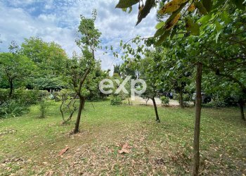 Villa Vecchiano - photo 37
