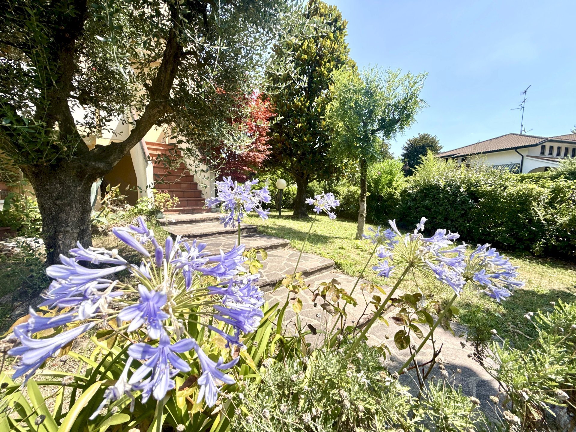 Villa Bifamiliare Musile di Piave - foto 1