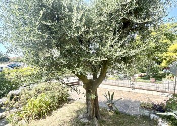 Villa Bifamiliare Musile di Piave - foto 34