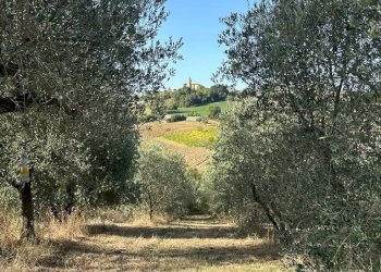 Villa Barbara - foto 14