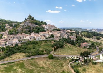 Rustic Via della Fratta, 4, Castiglione d'Orcia - photo 42