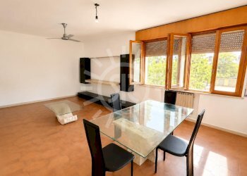 Appartamento Molinella - foto 3