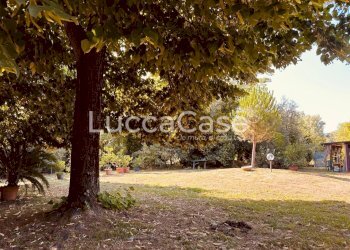 Villa Lucca (neighborhood San Concordio Contrada) - photo 28