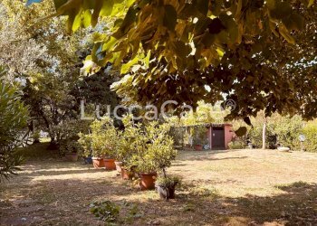 Villa Lucca (neighborhood San Concordio Contrada) - photo 58