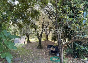Villa Lucca (neighborhood San Concordio Contrada) - photo 60