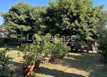 Villa Lucca (neighborhood San Concordio Contrada) - photo 61