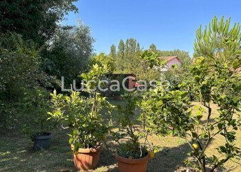 Villa Lucca (neighborhood San Concordio Contrada) - photo 62