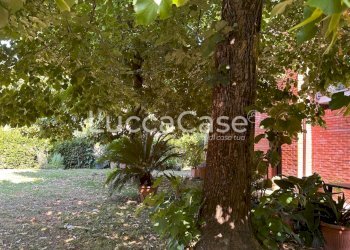Villa Lucca (neighborhood San Concordio Contrada) - photo 63
