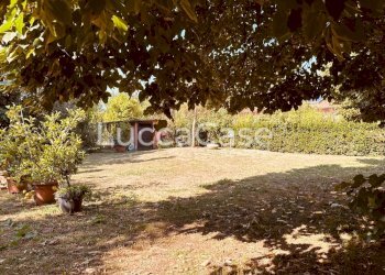 Villa Lucca (neighborhood San Concordio Contrada) - photo 64