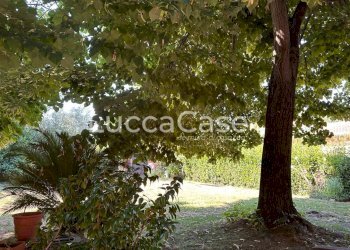 Villa Lucca (neighborhood San Concordio Contrada) - photo 65