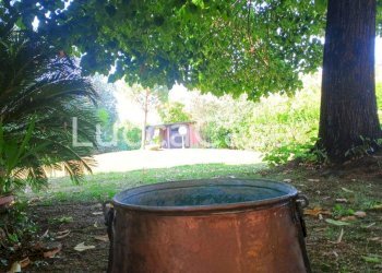 Villa Lucca (neighborhood San Concordio Contrada) - photo 79