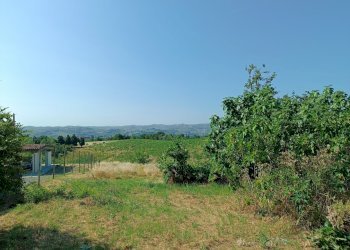 Casa indipendente Asti - foto 6