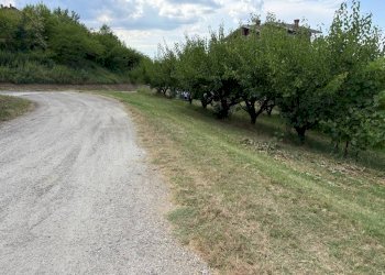 Independent house Magliano Alfieri - photo 5