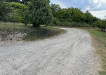 Independent house Magliano Alfieri - photo 6