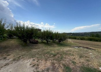 Independent house Magliano Alfieri - photo 13