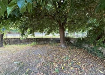 Independent house Magliano Alfieri - photo 15